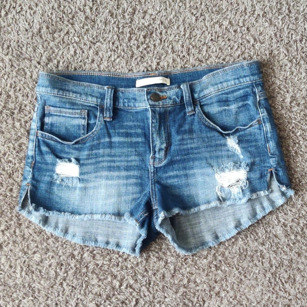 Daytrip Lynx Distressed Blue Jean Shorts